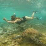 Cebu: Whale Shark Oslob and Moalboal Snorkeling Adventure - The Itinerary: From Dawn to Dusk