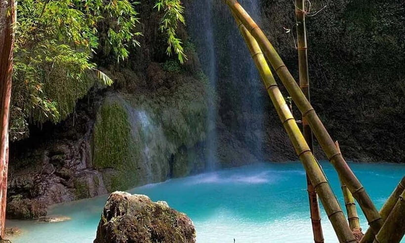 Cebu: Whale Shark, Tumalog, Sumilon, and Moalboal Tour - What’s Included and What’s Not