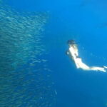 Cebu: Whale Sharks, Kawasan Falls, & Sardines Run Snorkeling - Kawasan Falls — A Refreshing Escape