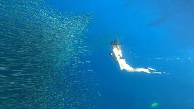 Cebu: Whale Sharks, Kawasan Falls, & Sardines Run Snorkeling - Kawasan Falls — A Refreshing Escape