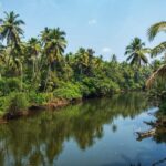 Chandor: Legends, Ruins and Rituals | Heritage Walk - Practical Details and Tips