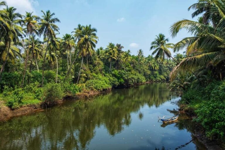 Chandor: Legends, Ruins and Rituals | Heritage Walk - Practical Details and Tips