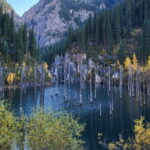 Charyn Kolsay Kaindy Private Tour - Practical Considerations and Value