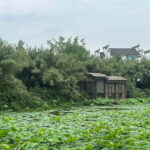 Chengdu: Visit the countryside of China - Engaging in Traditional Cultural Crafts