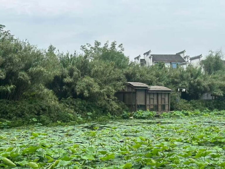 Chengdu: Visit the countryside of China - Engaging in Traditional Cultural Crafts