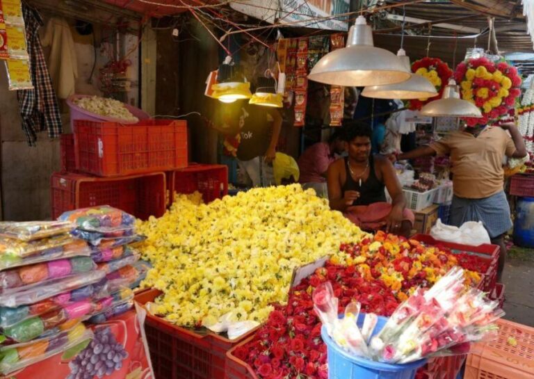 Chennai: Magical Markets Guided Walking Tour - The Market Highlights — What Makes Each Stop Special
