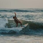 Chennai: Mahabalipuram surf lesson & Walking Tour with Lunch - Walking Tour of Mahabalipuram: Monuments and Ancient Marvels