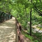 Cheongsong UNESCO GEO Park Hike From Andong - Final Thoughts: Who Will Love This Tour?