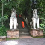 Chiang Mai: 7-Hour Doi Suthep National Park Summit Hiking - What We Love About This Tour