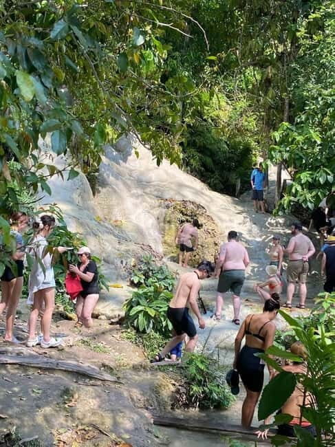 Chiang Mai: Afternoon Bua Tong Sticky Waterfall by Red Taxi - What to Expect on the Tour