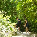 Chiang Mai: Bua Thong Sticky Waterfall & Huge Cave & Buffet - Why This Tour Is a Great Value