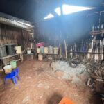 Chiang Mai Day Tour: Chiang Dao Cave and Hill Tribes - Transport, Timing, and Overall Experience