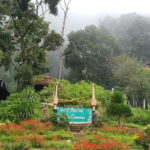 Chiang Mai: Doi Suthep Temple & Hmong Village Tour - Who This Tour Is Best For