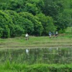 Chiang Mai Fields of Gold Cycling Tour - The Scenic Route and Highlights