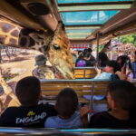 Chiang Mai Night Safari: Entry Ticket with Tram Ride - Final thoughts