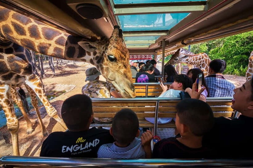 Chiang Mai Night Safari: Entry Ticket with Tram Ride - Final thoughts