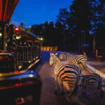 Chiang Mai Night Safari Full Access Ticket & Optional Pickup - The Itinerary and Key Highlights