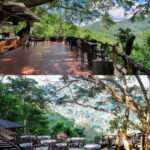 Chiang Mai: The Giant Café & Mae Kampong Village Day Trip - Exploring Mae Kampong Village