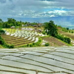 Chiangmai : Doi Inthanon unseen spot , Rice terrace & temple - What’s Included and What’s Not