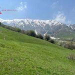 Chimgan Day Tour from Tashkent - Transportation & Logistics