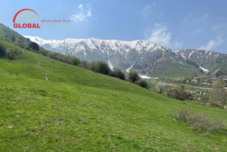 Chimgan Day Tour from Tashkent - Transportation & Logistics