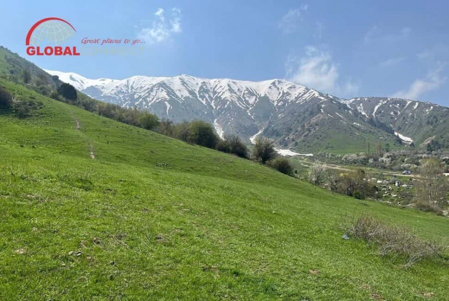 Chimgan Day Tour from Tashkent - Transportation & Logistics