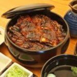 Classic Nagoya tour with private van - Practical Details & What to Expect