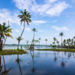 Cochin: 5-Day Kerala Tour with Houseboat and Wildlife - The Practical Side: Transport, Group Size, and Value
