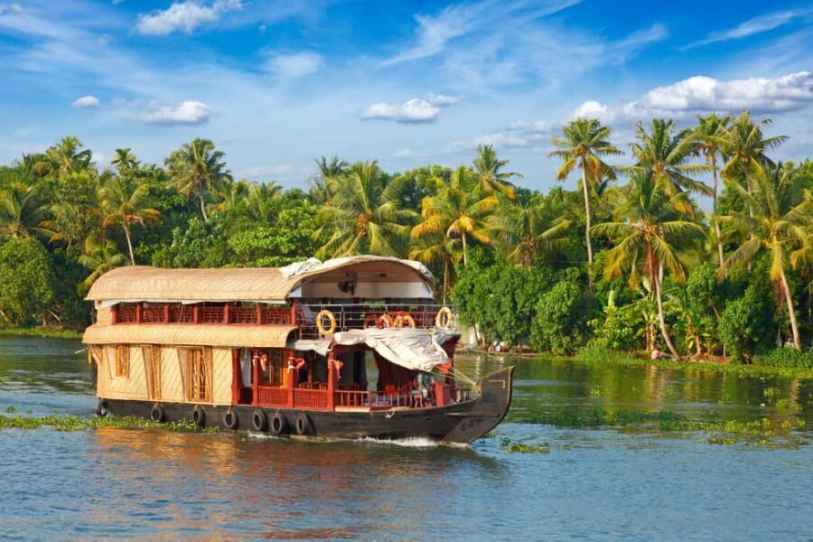 Cochin: Alleppey Houseboat Day Cruise with Lunch - What Makes This Tour Stand Out?