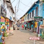 Cochin Private Shore Excursion Expedition with Harbor Cruise - Discovering Cochin’s Colonial Heritage