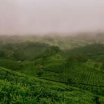 Coimbatore: Ooty and Kodaikanal 4-Day Trip - What Makes This Tour Stand Out?