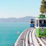 Colors of Busan: Sky Capsule, Jagalchi Market & Night Views - What Makes This Tour Stand Out?