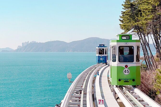 Colors of Busan: Sky Capsule, Jagalchi Market & Night Views - What Makes This Tour Stand Out?