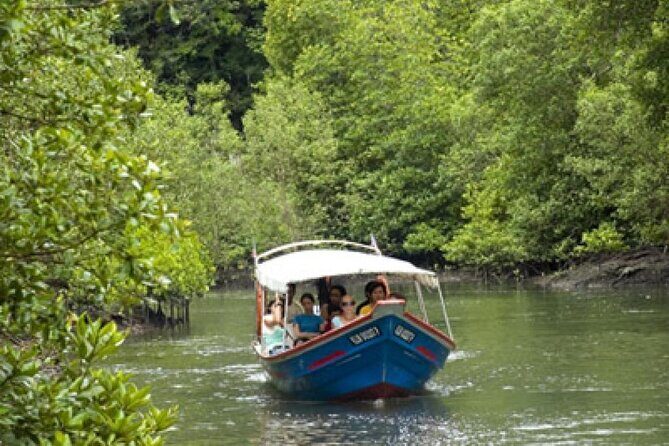 Combo - Cable Car & Sky Bridge And Tg. Rhu Mangrove Private Boat Tour With Lunch - Final Thoughts: Is This Tour Worth It?