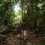 Con Dao: Journey Through So Ray  A Natural Wonder - Discovering the Itinerary: What You Can Expect