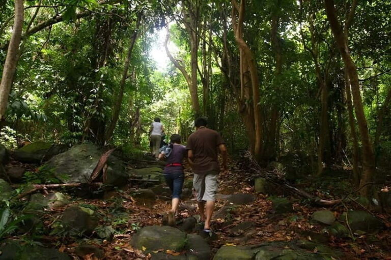 Con Dao: Journey Through So Ray  A Natural Wonder - Discovering the Itinerary: What You Can Expect