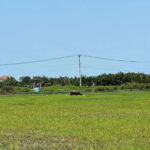 Cooking class in Tra Que village and lantern making - Is This Tour Worth It?