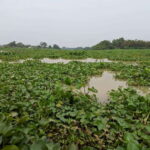 Cu Chi Tunnels & Mekong Delta Small Group Tour Full Day - How the Day Unfolds