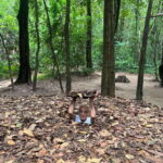 Cu Chi Tunnels Tour: Learn More About Vietnam War History - Visiting Bomb Craters and War Memorials