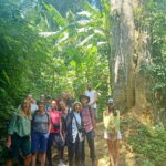 Cuc Phuong National Park Full Day Trip From Hanoi - Practical Details: What You Need to Know