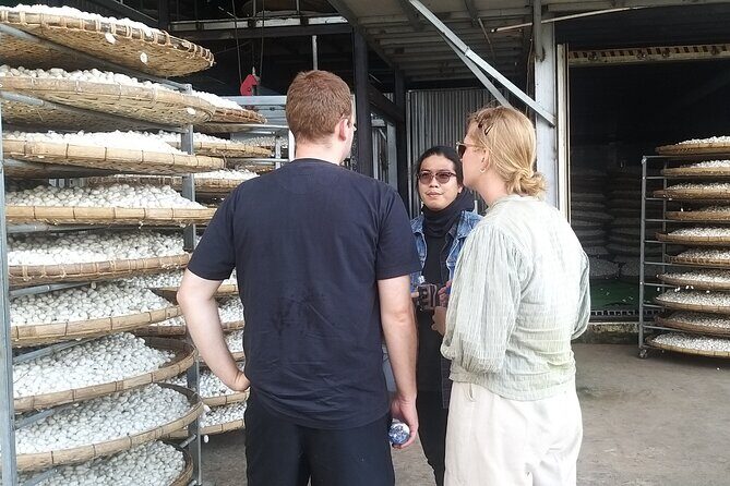 Da lat Countryside: Nature & Culture Tour by Car - Why the Da Lat Countryside Tour Offers Great Value