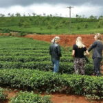 Da Lat: Silk, Coffee, Tea & the Spirit of Kho Full-Day Tour - Exploring Da Lat with a Local Touch