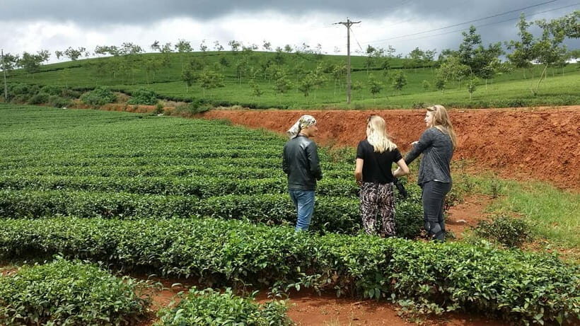 Da Lat: Silk, Coffee, Tea & the Spirit of Kho Full-Day Tour - Exploring Da Lat with a Local Touch
