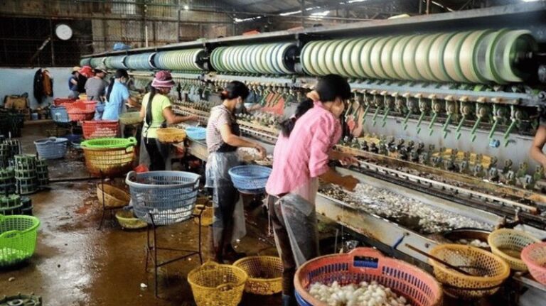 Da Lat's Most Beautiful Nature Discovery Tour (Private Car) - Starting the Day: Comfortable Transport & Hotel Pickup