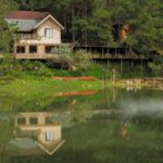 Dalat: Instagramable Tour with Hidden Gem Café - Who Would Love This Tour?