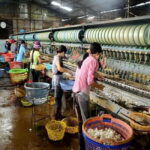 Dalat: Private Tour with Elephant Waterfall and Pagoda - Exploring Dalat’s Countryside: What You Can Expect