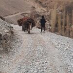 Day Tour from Samarkand Explore Panjakent and Seven Lakes - Detailed Breakdown of the Tour Experience