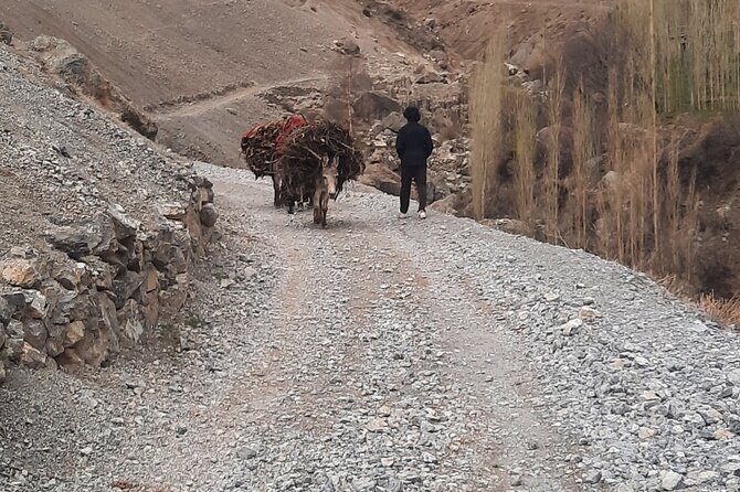 Day Tour from Samarkand Explore Panjakent and Seven Lakes - Detailed Breakdown of the Tour Experience