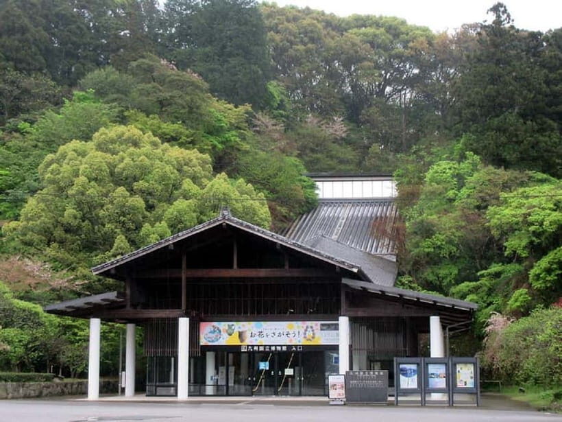 Dazaifu: Shrine, Museum, and Zen Garden Tour with Tea - Final Thoughts: Who Will Love This Tour?