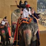 Delhi, Agra & Jaipur: 3-Day Private Golden Triangle Tour. - What Makes This Tour Stand Out?